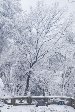 Winter snow scene in Moshan Scenic Area, East Lake, Wuhan, Hubeiの写真素材