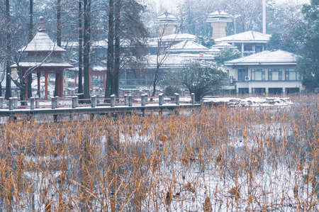 Winter snow scene in Moshan Scenic Area, East Lake, Wuhan, Hubeiの写真素材