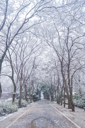 Winter snow scene in Moshan Scenic Area, East Lake, Wuhan, Hubeiの写真素材
