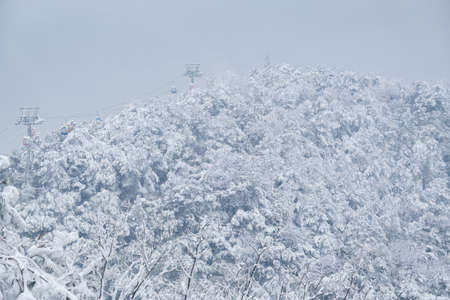 Winter snow scene in Moshan Scenic Area, East Lake, Wuhan, Hubeiの写真素材