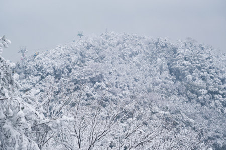 Winter snow scene in Moshan Scenic Area, East Lake, Wuhan, Hubeiの写真素材