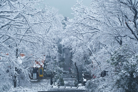 Winter snow scene in Moshan Scenic Area, East Lake, Wuhan, Hubeiの写真素材
