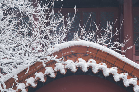Winter snow scene in Moshan Scenic Area, East Lake, Wuhan, Hubeiの写真素材
