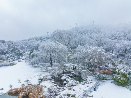 Winter Snow Scenery in Cherry Blossom Garden in East Lake Scenic Area, Wuhan, Hubeiの写真素材