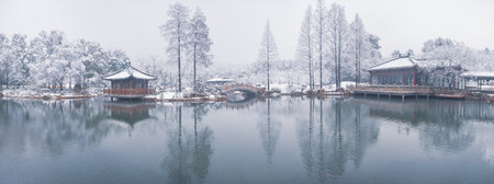 Winter Snow Scenery in Cherry Blossom Garden in East Lake Scenic Area, Wuhan, Hubeiの写真素材