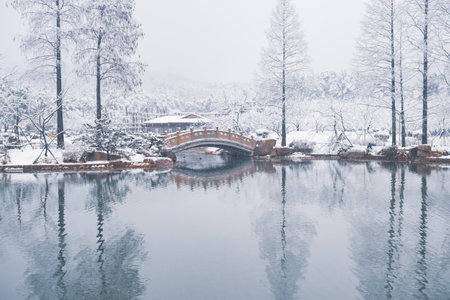 Winter Snow Scenery in Cherry Blossom Garden in East Lake Scenic Area, Wuhan, Hubeiの写真素材