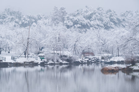 Winter Snow Scenery in Cherry Blossom Garden in East Lake Scenic Area, Wuhan, Hubeiの写真素材