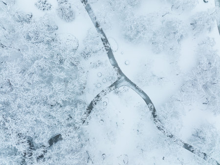 Winter Snow Scenery in Cherry Blossom Garden in East Lake Scenic Area, Wuhan, Hubeiの写真素材