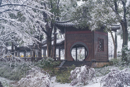 Winter Snow Scenery in Cherry Blossom Garden in East Lake Scenic Area, Wuhan, Hubeiの写真素材