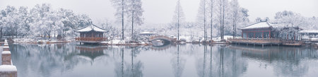 Winter Snow Scenery in Cherry Blossom Garden in East Lake Scenic Area, Wuhan, Hubeiの写真素材