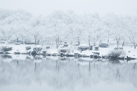 Winter Snow Scenery in Cherry Blossom Garden in East Lake Scenic Area, Wuhan, Hubeiの写真素材