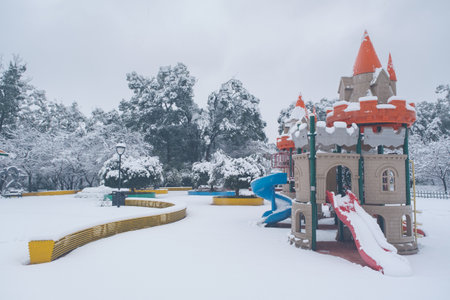 Winter Snow Scenery in Cherry Blossom Garden in East Lake Scenic Area, Wuhan, Hubeiの写真素材