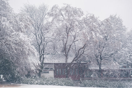 Winter snow scene in Moshan Scenic Area, East Lake, Wuhan, Hubeiのeditorial素材