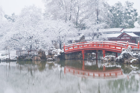 Winter Snow Scenery in Cherry Blossom Garden in East Lake Scenic Area, Wuhan, Hubeiのeditorial素材