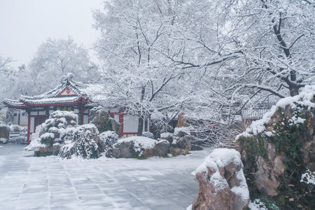 Winter Snow Scenery in Cherry Blossom Garden in East Lake Scenic Area, Wuhan, Hubeiのeditorial素材