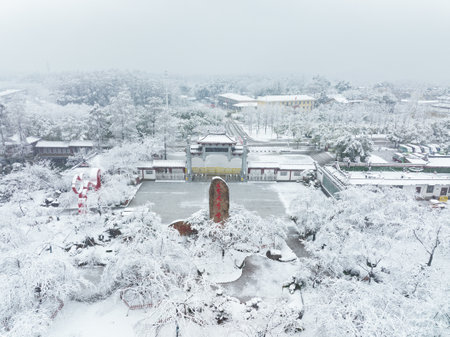 Winter Snow Scenery in Cherry Blossom Garden in East Lake Scenic Area, Wuhan, Hubeiのeditorial素材