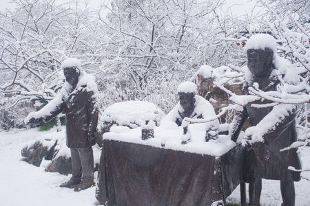 Winter Snow Scenery in Cherry Blossom Garden in East Lake Scenic Area, Wuhan, Hubeiのeditorial素材