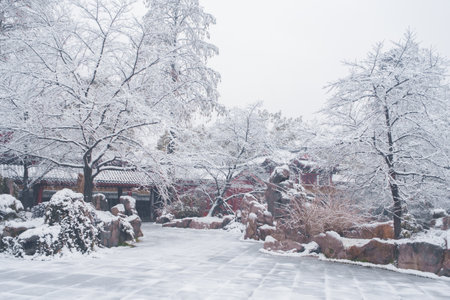 Winter Snow Scenery in Cherry Blossom Garden in East Lake Scenic Area, Wuhan, Hubeiのeditorial素材