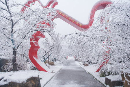 Winter Snow Scenery in Cherry Blossom Garden in East Lake Scenic Area, Wuhan, Hubeiのeditorial素材