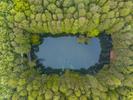 Spring scenery of East Lake Scenic Area in Wuhan, Hubeiの写真素材