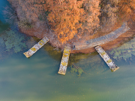 Autumn scenery in Luoyan Island Scenic Area, East Lake, Wuhanの写真素材