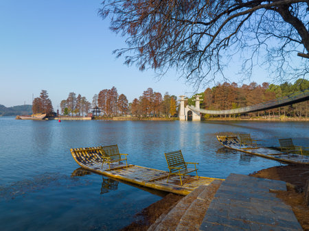 Autumn scenery in Luoyan Island Scenic Area, East Lake, Wuhanの写真素材
