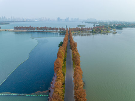 Autumn scenery of Wuhan East Lake Wetland Park Scenic Areaの写真素材