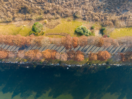 Autumn scenery of Wuhan East Lake Wetland Park Scenic Areaの写真素材