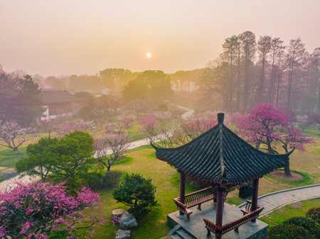 Wuhan East Lake Plum blossom Garden Spring Sceneryの写真素材