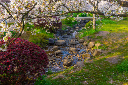 Wuhan East Lake Cherry blossom Garden Spring Sceneryの写真素材