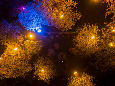 Wuhan East Lake Cherry Blossom Garden Night sceneryの写真素材