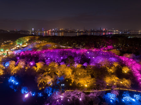 Wuhan East Lake Cherry Blossom Garden Night sceneryの写真素材