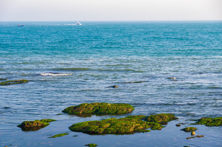 Spring seaside scenery of Binhai Road in Dalian, Liaoning province, Chinaの写真素材