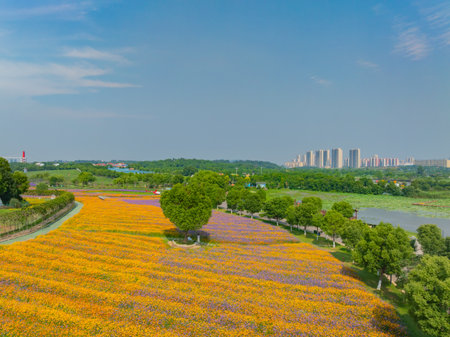 Wuhan Hua Bo Hui Scenic Spot Spring Sceneryの写真素材