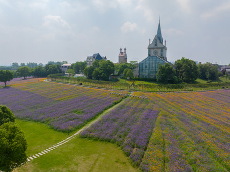 Wuhan Hua Bo Hui Scenic Spot Spring Sceneryの写真素材