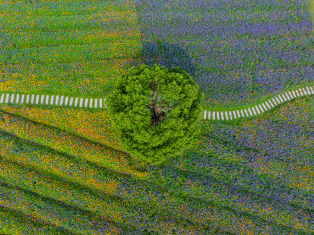 Wuhan Hua Bo Hui Scenic Spot Spring Sceneryの写真素材