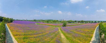 Wuhan Hua Bo Hui Scenic Spot Spring Sceneryの写真素材