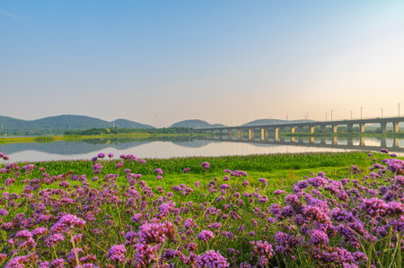 Wuhan Hua Bo Hui Scenic Spot Spring Sceneryの写真素材