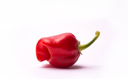 Chili pepper Trinidad Moruga Scorpionの写真素材