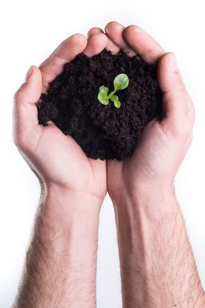 Man's hands holds topsoil with bod on white backgroundの写真素材