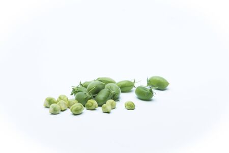 Garden's green chickpeasの写真素材