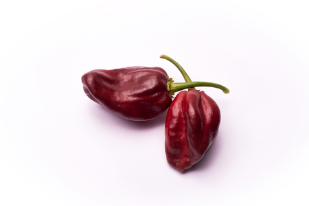 Chili pepper Habanero Chocolateの写真素材