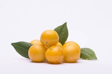 Plums on white backgroundの写真素材