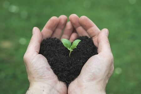 man's hands holds heart shape soil with budの写真素材