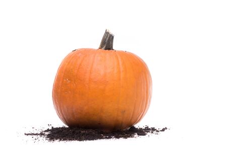 Orange halloween pumpkin on isolated white backgroundの写真素材