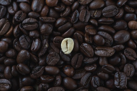 Single white coffee bean on black coffee backgroundの写真素材