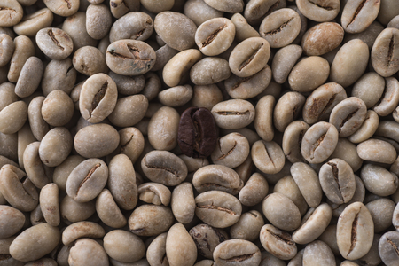 Single toasted black coffee bean on white coffee backgroundの写真素材