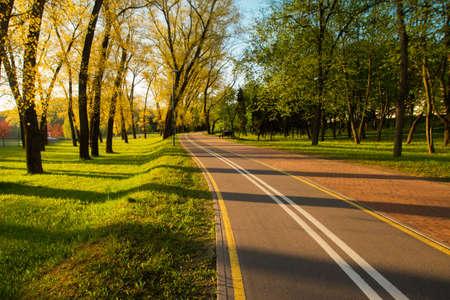 Empty bike path route infrastructure early in the spring sunny morning. No people in the park, green grass, trees and blue sky. Happy warm light and bright colors.の写真素材