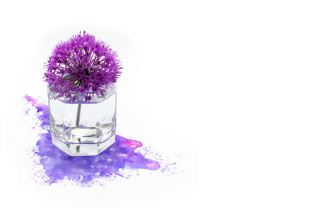 Purple violet giant onion Allium giganteum spring flowers and hand painted watercolor blot spot on white background. A4 paper size border frame photo with free blank copy space for text.の写真素材