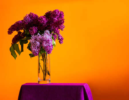 A bunch of purple violet spring lilac in a transparent glass vase on warm orange yellow background. A colorful photo with free blank copy space for text. For cards, posters, website decoration etc.の写真素材
